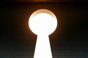 Nova rota profissional