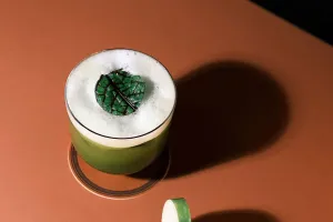 Suc de Legume și Mere