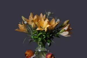 Trồng hoa gì vào mùa hè?