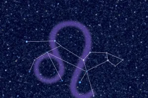 Langkah Penuh Percaya Diri