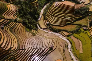 Konservasi Tanah Bertingkat