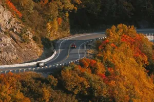 Perfect Driving Posture