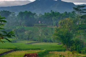 Destinasi Alam Pegunungan