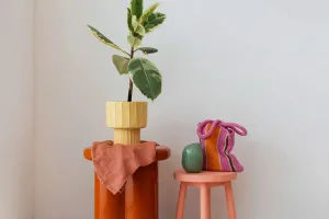 Sua planta está morrendo?