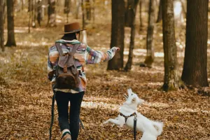 Move Together, Stay Healthy