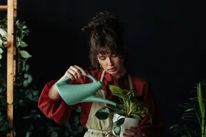 L'art de l'entretien