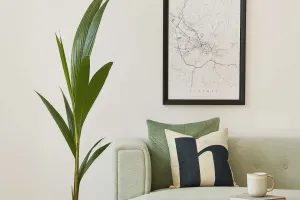 Trang trí nhà bằng cây xanh