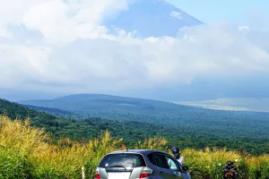 Аварийная полоса