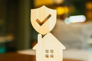 Protecția locuinței