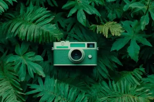 Foto-Lebens-Mentalität