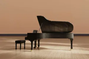Domptez le piano