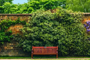 Bahçede Mikro İklim