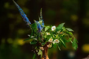 Color Harmony in Florals