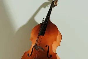 La contrebasse facile