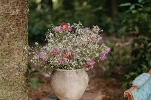 Baby’s Breath Tips