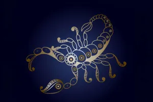 Sức Hút Ngầm Của Bọ Cạp