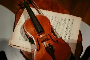 Violinenpflege