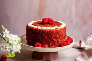 Raspberry Chocolate Delight