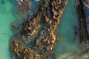 Mẹo an toàn khi lướt sóng