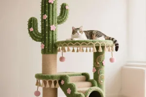 Animaux : espaces sûrs