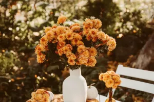 Màu hoa nói lên điều gì?