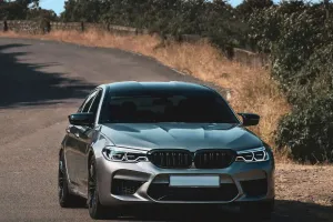 Elektroautos Aufstieg