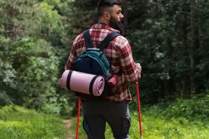 Full-Body Nordic Walk