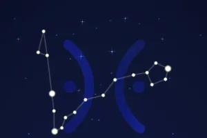 Bí mật thành công Song Ngư