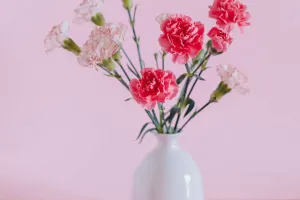 O poder secreto do cravo