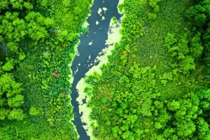 Sức sống từ những dòng sông