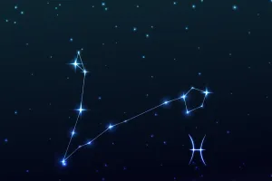 Tử vi Song Ngư hôm nay