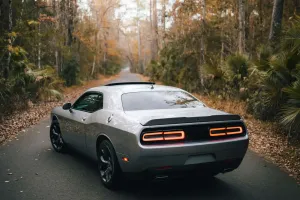 Cảnh báo va chạm hươu nai