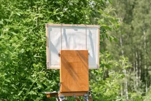 Labāk redzēt, skicējot