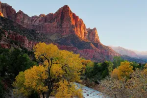 Pesona Zion National Park