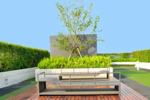 Mẹo làm vườn trên sân thượng