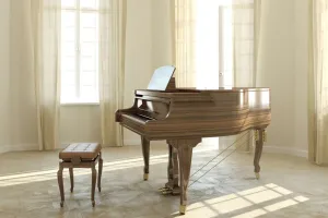 Sự thật thú vị về đàn Piano
