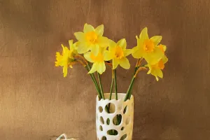 Narcisos fáceis em casa