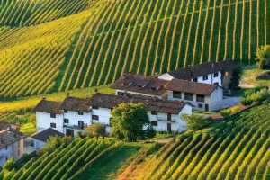 Pesona Keindahan Piemonte