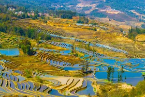 Most Stunning Rice Terraces