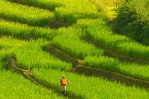 Zeitloses Naturwunder