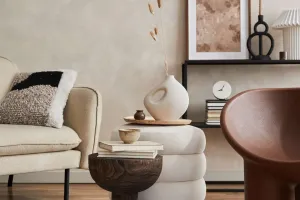 Furniture Dilemma Solved