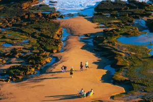 Ghé thăm thành phố gió