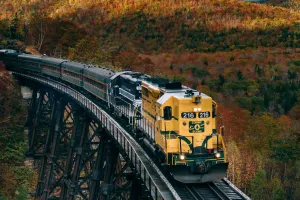 Vacaciones sin Combustible