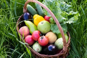 Hábitos para Vivir Más