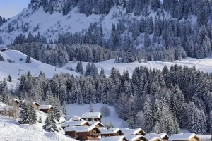 Le Grand-Bornand Guide