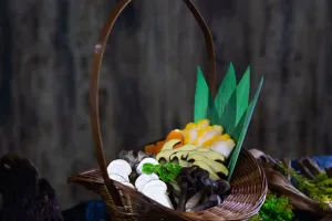 Thế giới ngầm của nấm