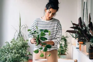 Полив без ошибок