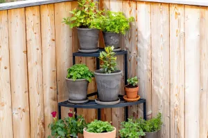 Pflanzen-Wasserschutz