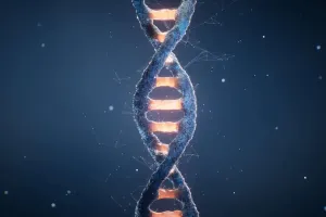 Renascer no DNA