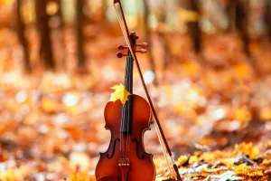 Le violon éternel